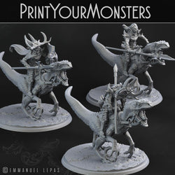 3D Printed Print Your Monsters Dark Elves Full Army Set 28mm - 32mm D&D Wargaming (Online Only)