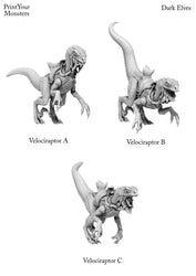 3D Printed Print Your Monsters Dark Elves Raptor Mounts Set 28mm - 32mm D&D Wargaming (Online Only)