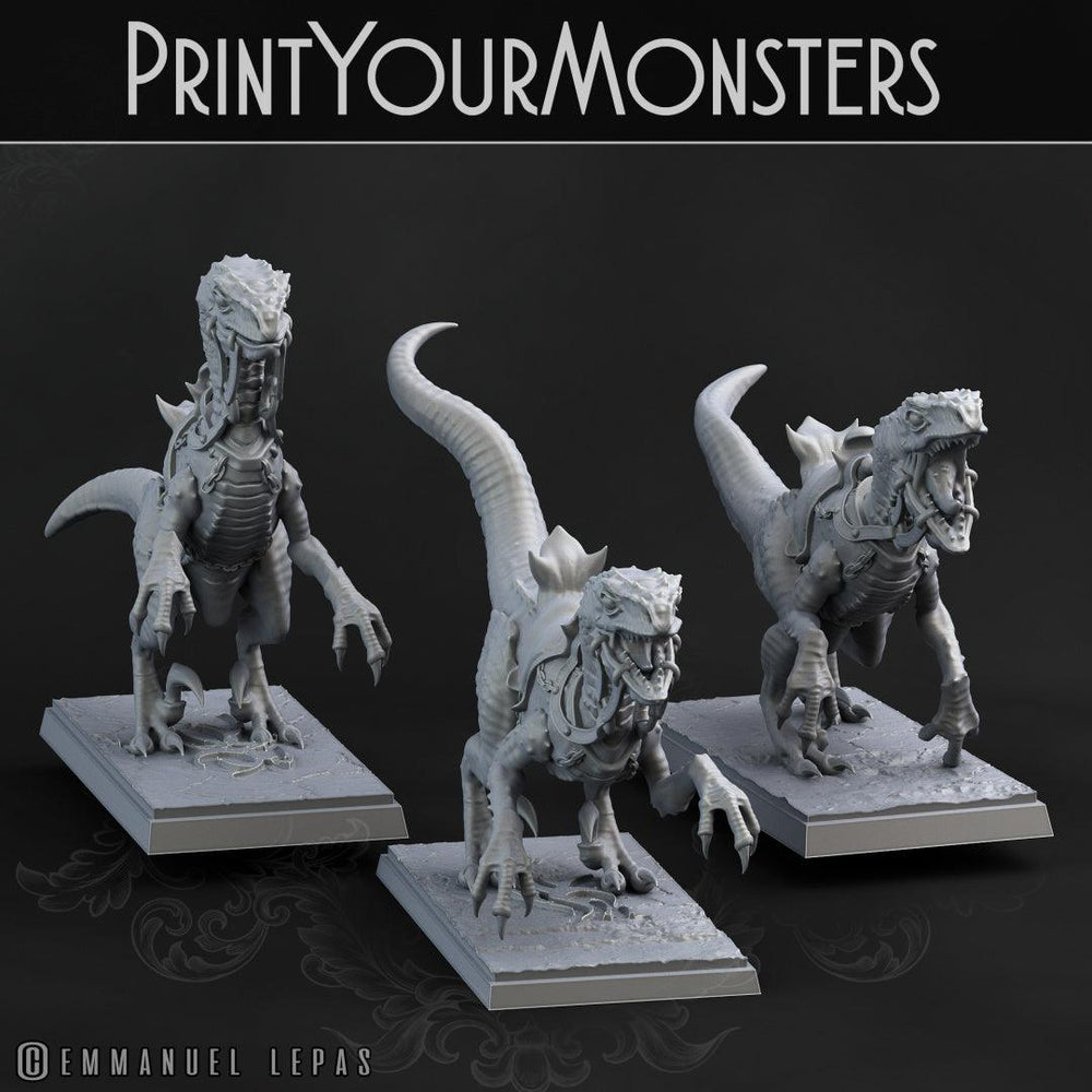 3D Printed Print Your Monsters Dark Elves Rider Set A 28mm - 32mm D&D Wargaming (Online Only)