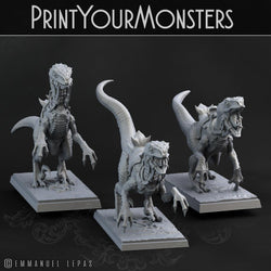 3D Printed Print Your Monsters Dark Elves Rider Set A 28mm - 32mm D&D Wargaming (Online Only)