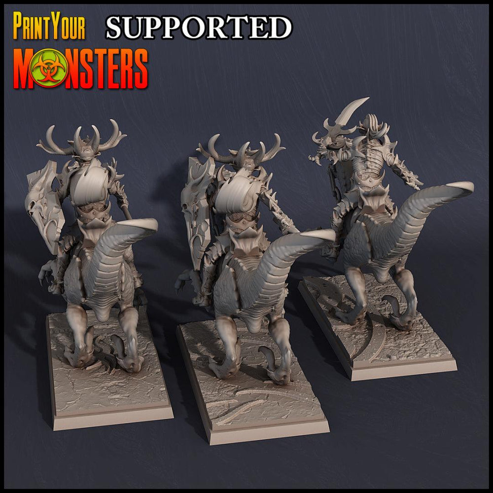 3D Printed Print Your Monsters Dark Elves Rider Set B 28mm - 32mm D&D Wargaming (Online Only)