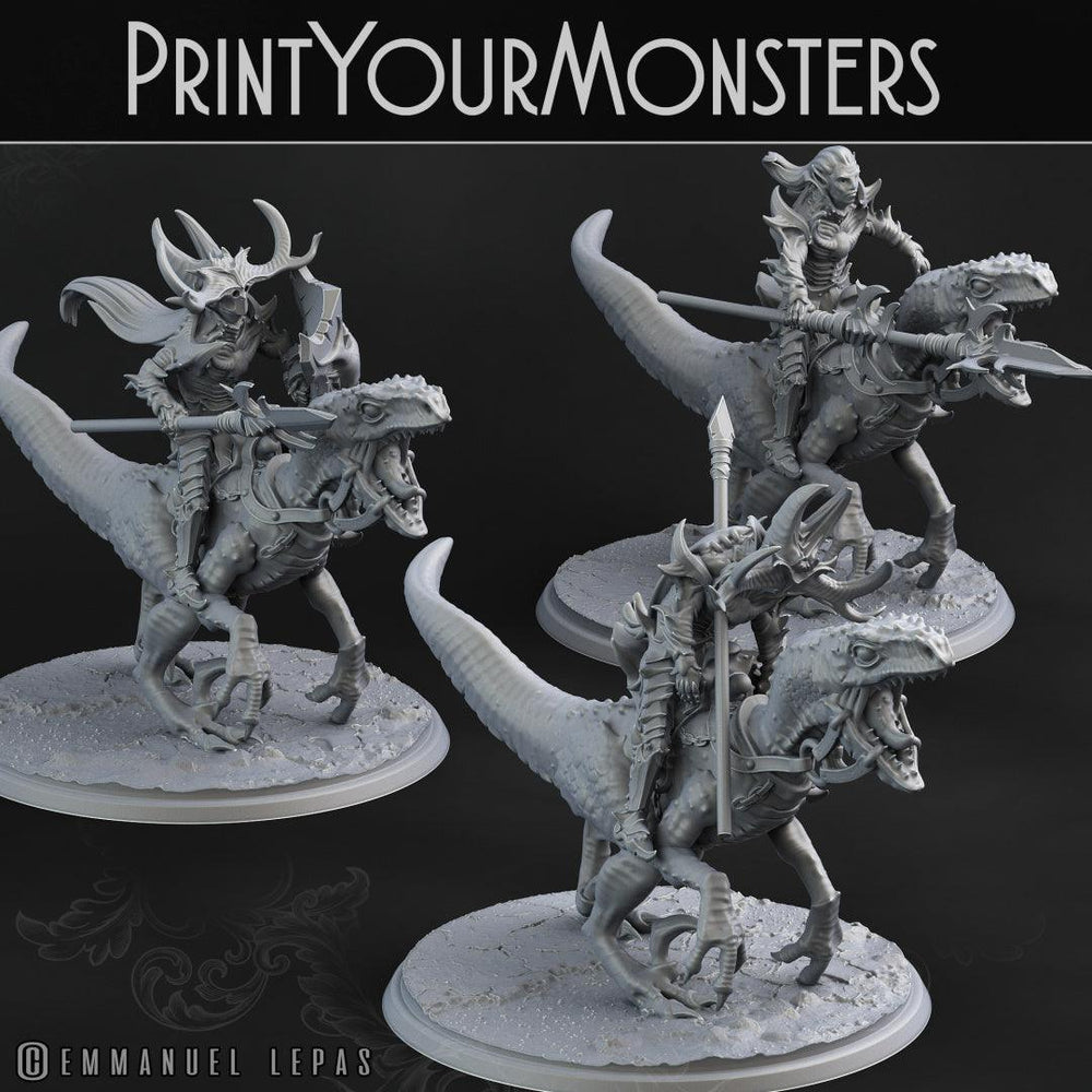 3D Printed Print Your Monsters Dark Elves Rider Set C 28mm - 32mm D&D Wargaming (Online Only)