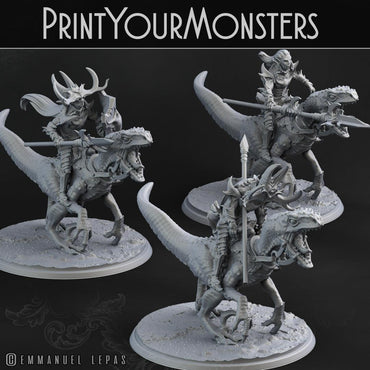 3D Printed Print Your Monsters Dark Elves Rider Set C 28mm - 32mm D&D Wargaming (Online Only)
