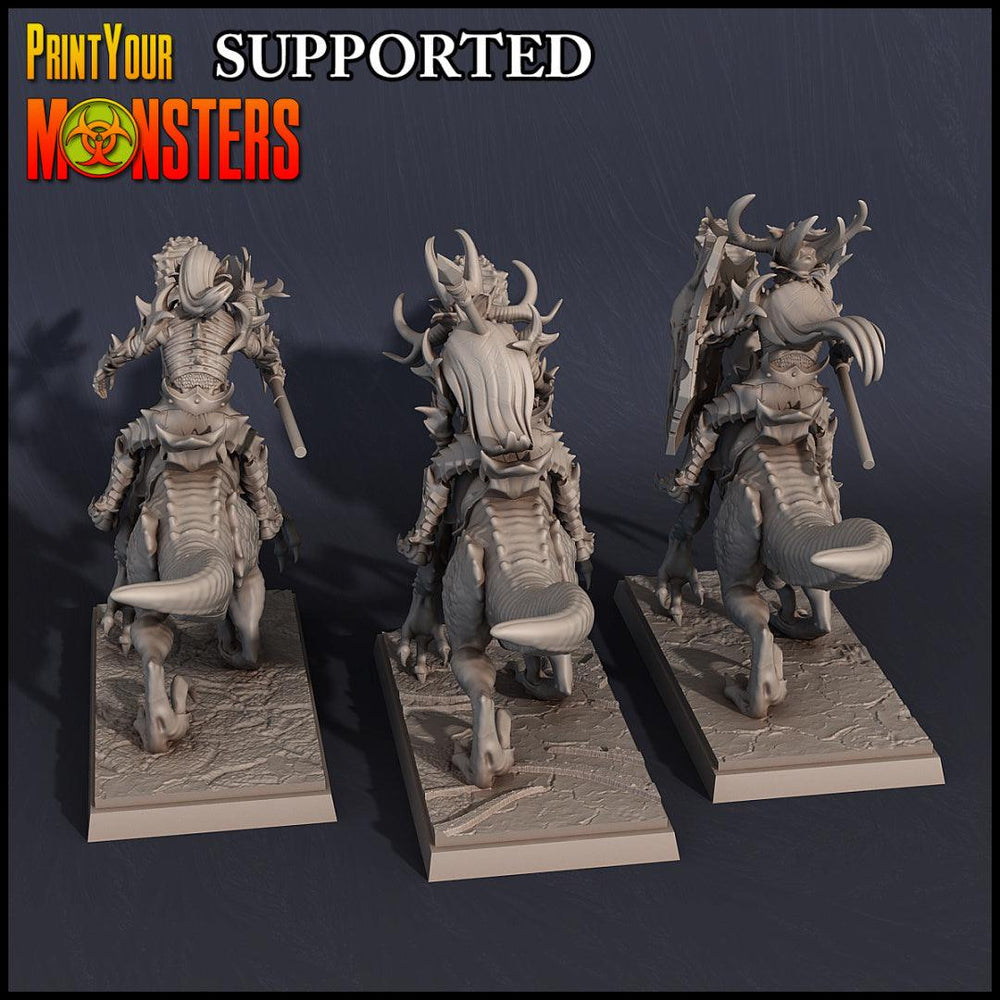 3D Printed Print Your Monsters Dark Elves Rider Set C 28mm - 32mm D&D Wargaming (Online Only)