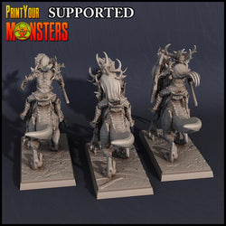 3D Printed Print Your Monsters Dark Elves Rider Set C 28mm - 32mm D&D Wargaming (Online Only)