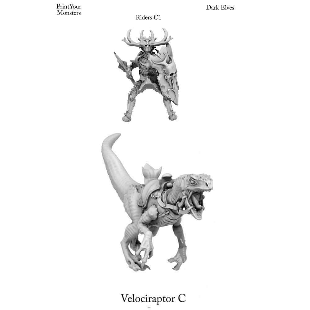 3D Printed Print Your Monsters Dark Elves Rider Set C 28mm - 32mm D&D Wargaming (Online Only)