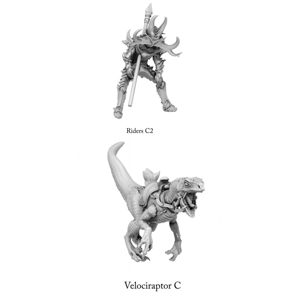 3D Printed Print Your Monsters Dark Elves Rider Set C 28mm - 32mm D&D Wargaming (Online Only)