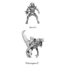 3D Printed Print Your Monsters Dark Elves Rider Set C 28mm - 32mm D&D Wargaming (Online Only)