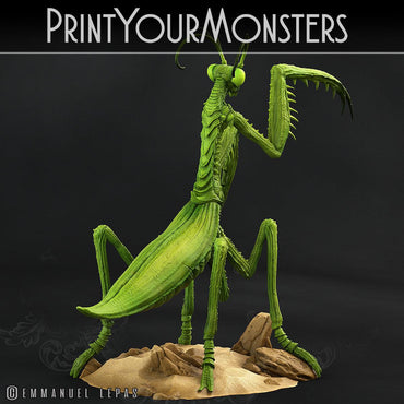 3D Printed Print Your Monsters Giant Mantis Total Insects 28mm - 32mm D&D Wargaming (Online Only)