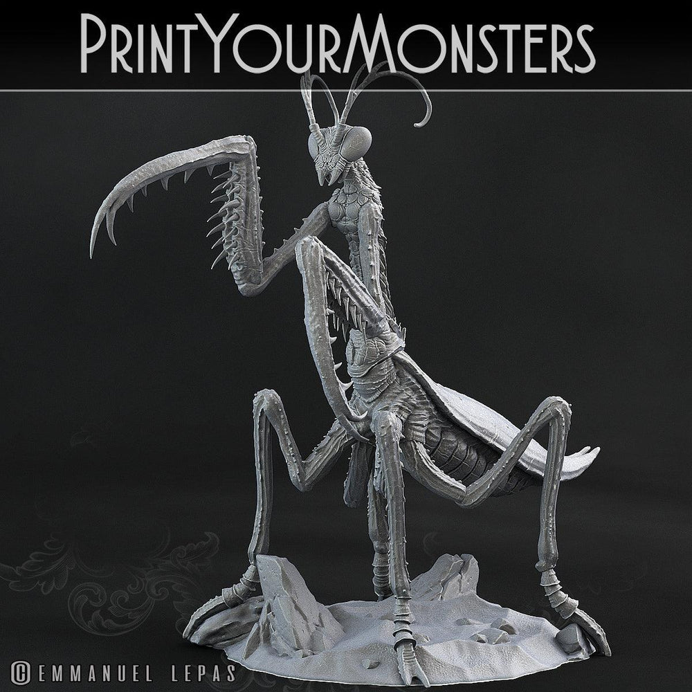3D Printed Print Your Monsters Giant Mantis Total Insects 28mm - 32mm D&D Wargaming (Online Only)