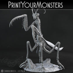 3D Printed Print Your Monsters Giant Mantis Total Insects 28mm - 32mm D&D Wargaming (Online Only)