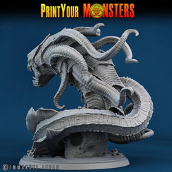 3D Printed Print Your Monsters Giant Searaleth The Searakin Domination Set 28mm - 32mm D&D Wargaming (Online Only)