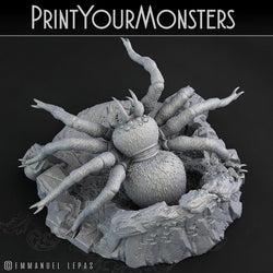 3D Printed Print Your Monsters Hollowhaunt Tarantula Spider 28mm - 32mm D&D Wargaming (Online Only)