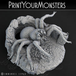 3D Printed Print Your Monsters Hollowhaunt Tarantula Spider 28mm - 32mm D&D Wargaming (Online Only)