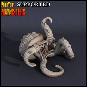 3D Printed Print Your Monsters Kraken Hatchling Dark Water Sanctum 28mm - 32mm D&D Wargaming (Online Only)