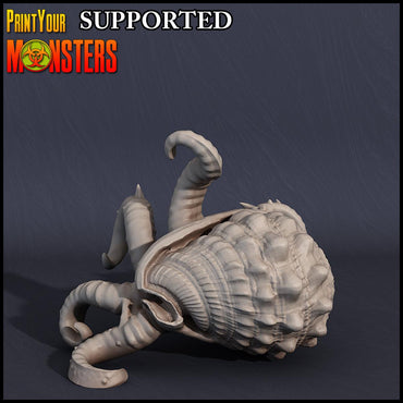 3D Printed Print Your Monsters Kraken Hatchling Dark Water Sanctum 28mm - 32mm D&D Wargaming (Online Only)