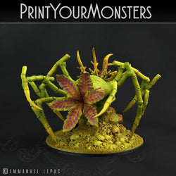 3D Printed Print Your Monsters Leaftongue Tarantulas Carniflora Jungle Predators 28mm - 32mm D&D Wargaming (Online Only)