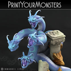 3D Printed Print Your Monsters Shadow Hydra Total Serpents 28mm - 32mm D&D Wargaming (Online Only)