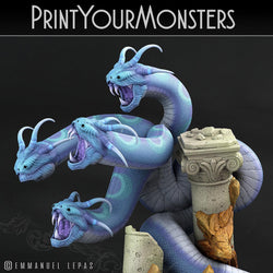 3D Printed Print Your Monsters Shadow Hydra Total Serpents 28mm - 32mm D&D Wargaming (Online Only)