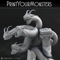 3D Printed Print Your Monsters Shadow Hydra Total Serpents 28mm - 32mm D&D Wargaming (Online Only)