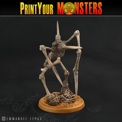 3D Printed Print Your Monsters Skeletons Land of Bones Set 28mm - 32mm D&D Wargaming (Online Only)