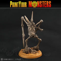 3D Printed Print Your Monsters Skeletons Land of Bones Set 28mm - 32mm D&D Wargaming (Online Only)