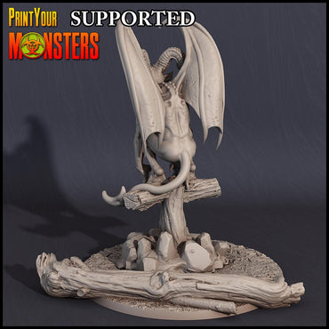 3D Printed Print Your Monsters Witch Demon Witches Pack 28mm - 32mm D&D Wargaming (Online Only)