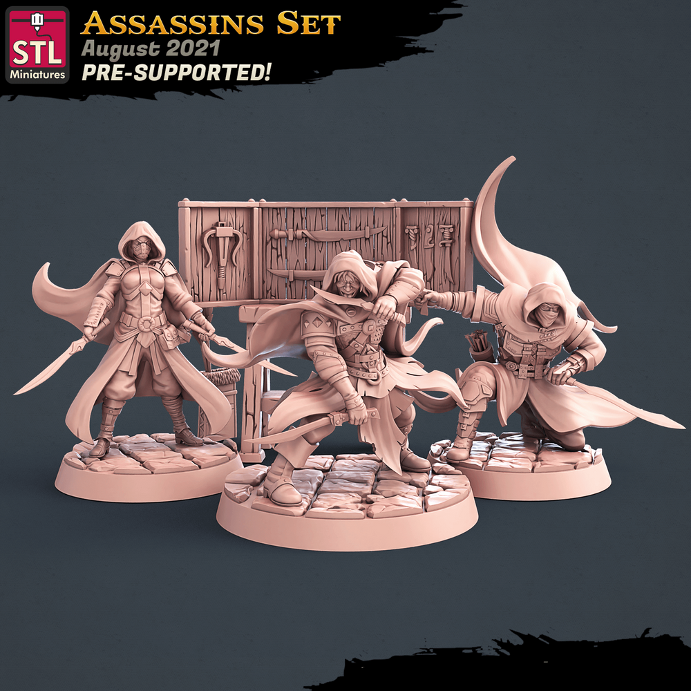 3D Printed STL Miniatures Assassins Set 28 - 32mm War Gaming D&D (Online Only)