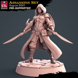 3D Printed STL Miniatures Assassins Set 28 - 32mm War Gaming D&D (Online Only)