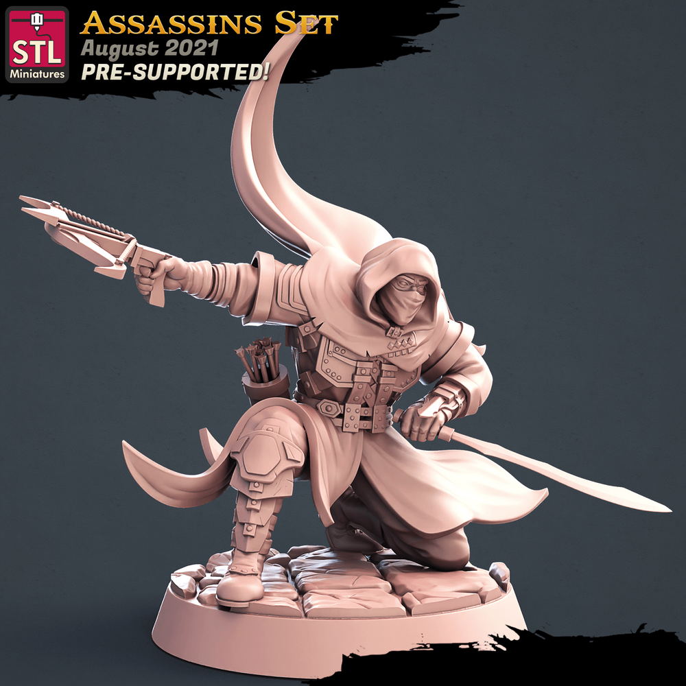3D Printed STL Miniatures Assassins Set 28 - 32mm War Gaming D&D (Online Only)