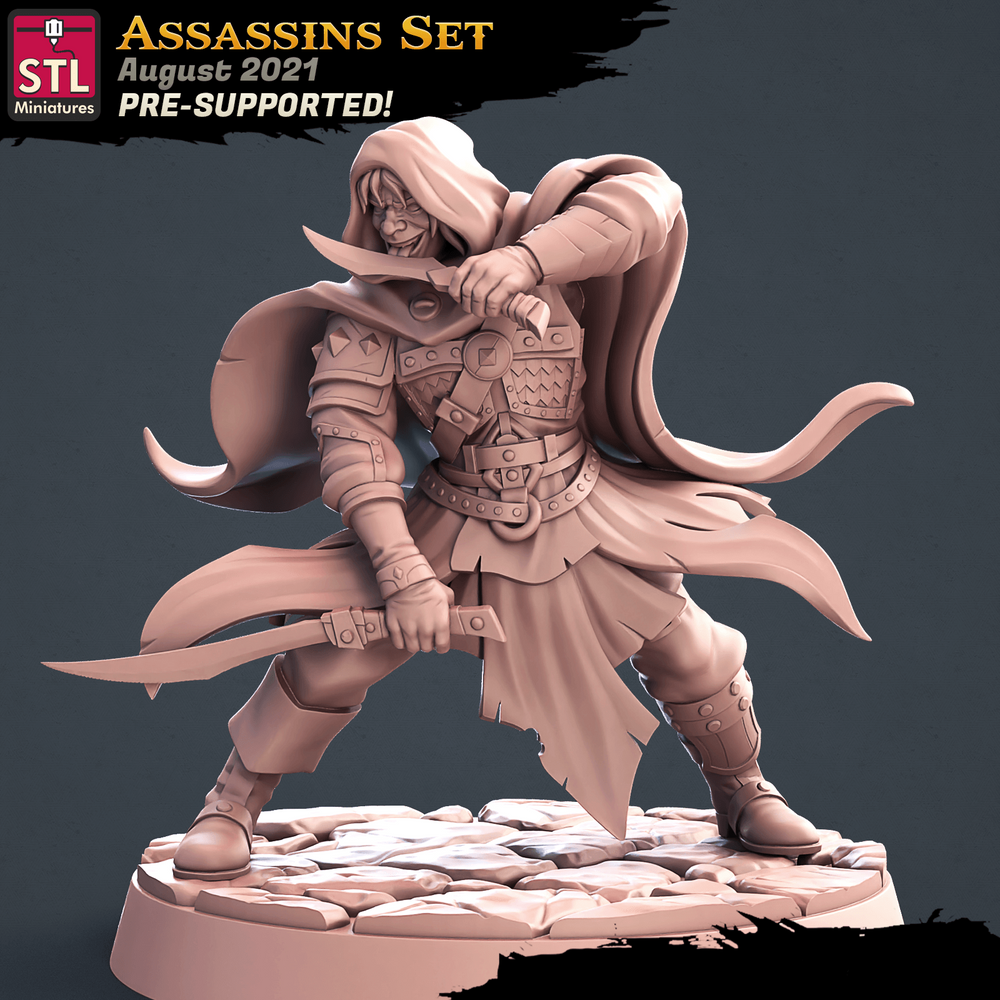 3D Printed STL Miniatures Assassins Set 28 - 32mm War Gaming D&D (Online Only)