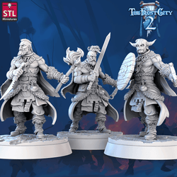 3D Printed STL Miniatures Barbarians The Frost City 2 28 - 32mm War Gaming D&D (Online Only)