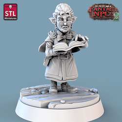 3D Printed STL Miniatures Classroom Set Fantasy NPC 2 | 28 - 32mm War Gaming D&D (Online Only)