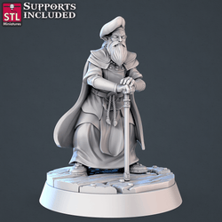 3D Printed STL Miniatures Jousting Set 28mm - 32mm War Gaming D&D (Online Only)
