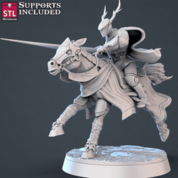 3D Printed STL Miniatures Jousting Set 28mm - 32mm War Gaming D&D (Online Only)