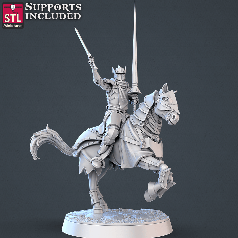 3D Printed STL Miniatures Jousting Set 28mm - 32mm War Gaming D&D (Online Only)