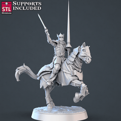 3D Printed STL Miniatures Jousting Set 28mm - 32mm War Gaming D&D (Online Only)