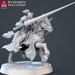 3D Printed STL Miniatures Jousting Set 28mm - 32mm War Gaming D&D (Online Only)