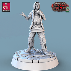 3D Printed STL Miniatures Magistrate Set Fantasy NPC 2 | 28 - 32mm War Gaming D&D (Online Only)