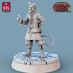 3D Printed STL Miniatures Magistrate Set Fantasy NPC 2 | 28 - 32mm War Gaming D&D (Online Only)