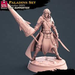 3D Printed STL Miniatures Paladin Set 28 - 32mm War Gaming D&D (Online Only)