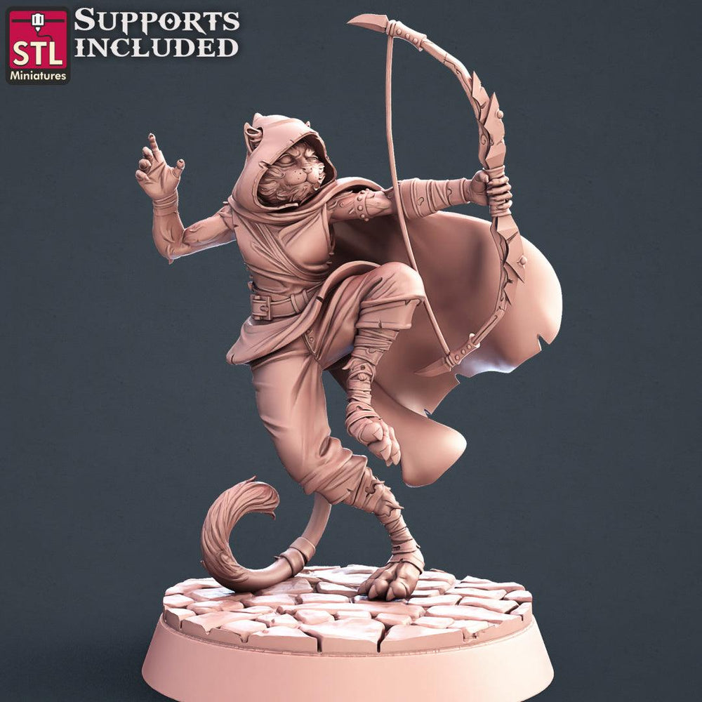 3D Printed STL Miniatures Tabaxi Assassins Set 28 - 32mm War Gaming D&D (Online Only)