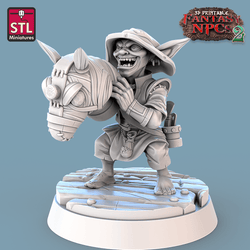 3D Printed STL Miniatures Taxidermist Set Fantasy NPC 2 | 28 - 32mm War Gaming D&D (Online Only)