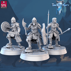 3D Printed STL Miniatures The Frost City Army Knights - Modular 28 - 32mm War Gaming D&D (Online Only)