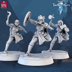 3D Printed STL Miniatures The Frost City Army Knights - Modular 28 - 32mm War Gaming D&D (Online Only)
