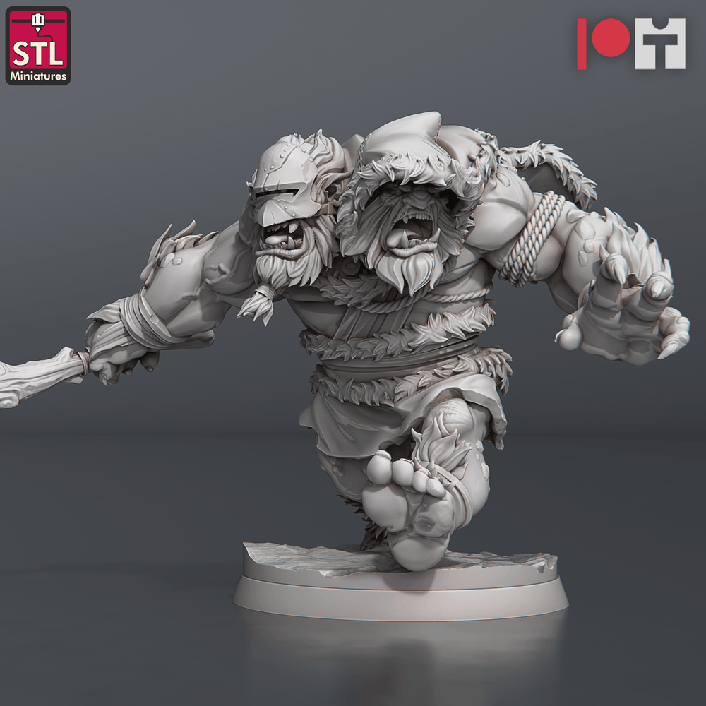 3D Printed STL Miniatures Two Headed Show Troll Set 28 - 32mm War Gaming D&D (Online Only)