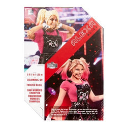 WWE Ultimate Edition Action Figure - Select Figure(s) (Online Order Only)