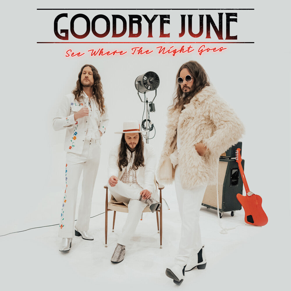 See Where The Night Goes [LP]