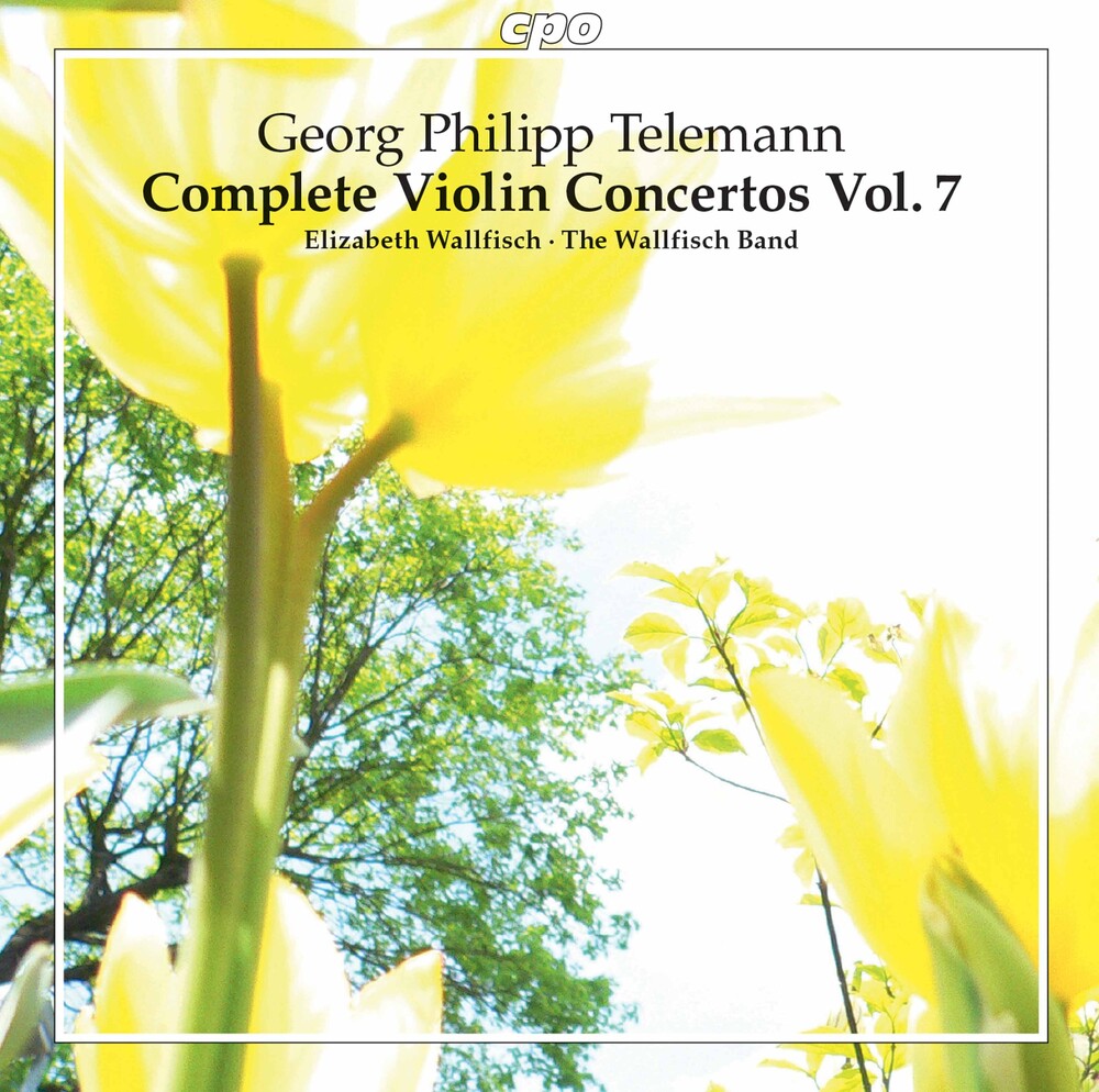 Complete Violin Concertos 7 [CD]