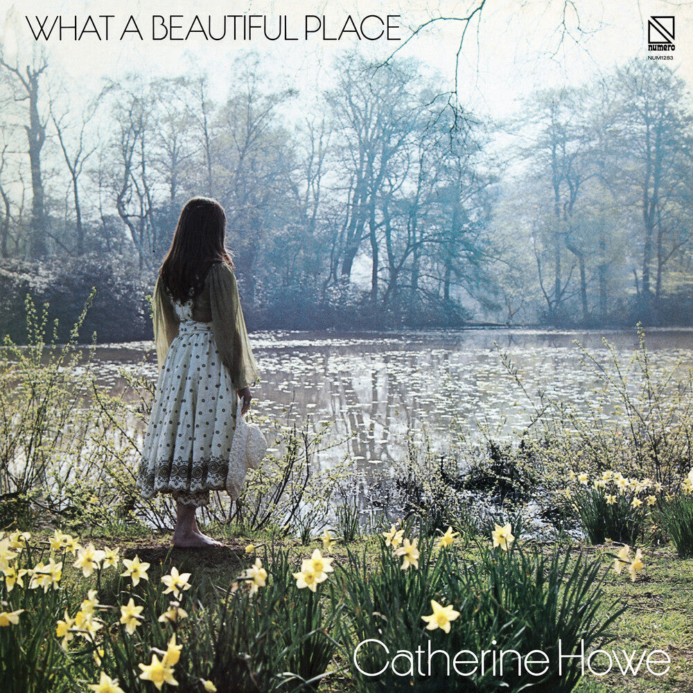 What a Beautiful Place [Yellow LP]